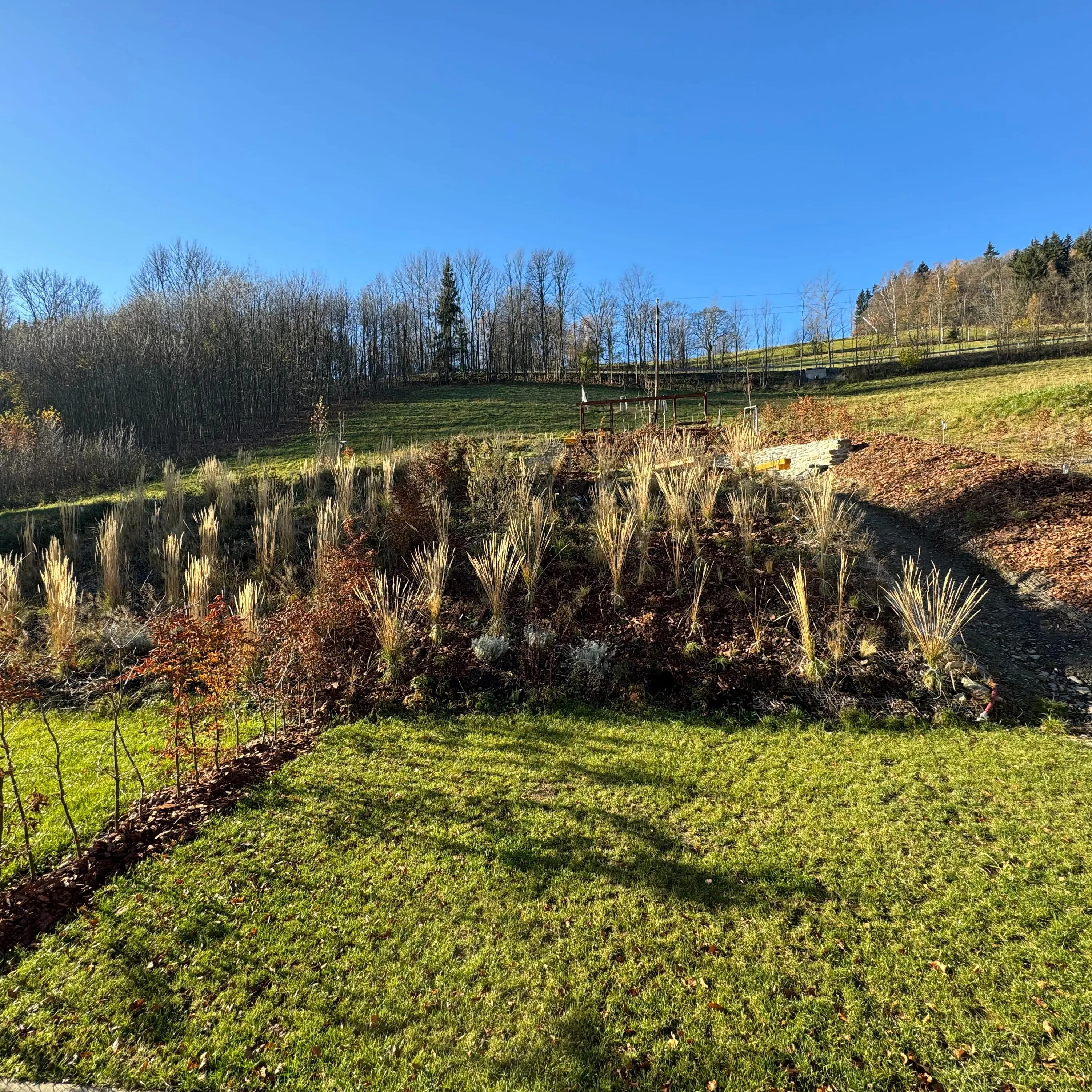 The garden beside the cabin in autumn sun, meadow and forest above